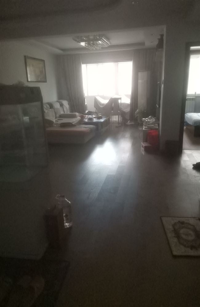 球小附近房产出租